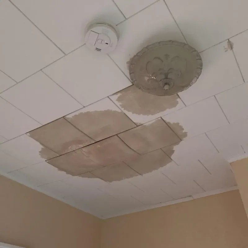 Ceiling Water Damage Repair in New Union, TN