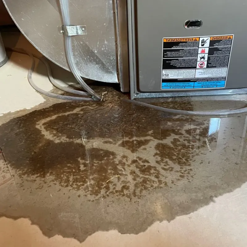 Pipe Burst and Leak Restoration in New Union, TN