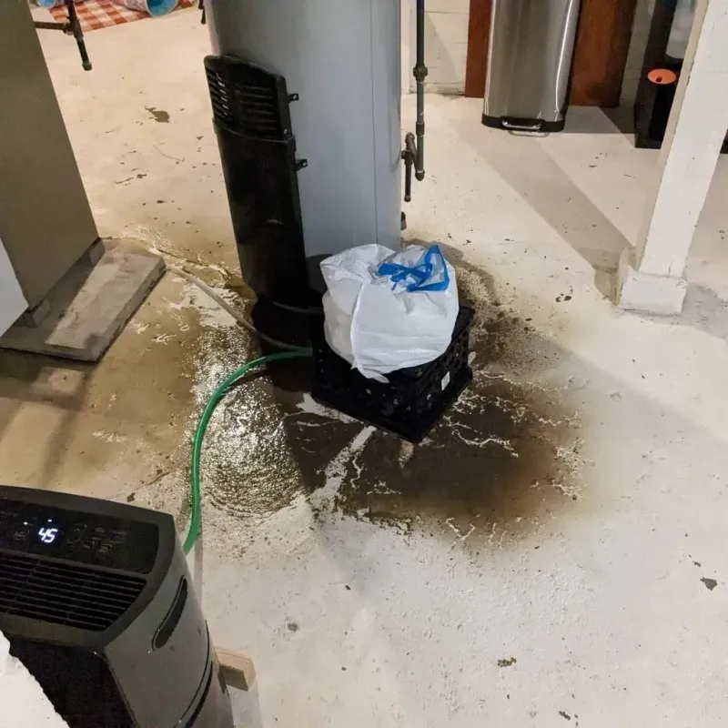 Sewage Backup Cleanup Service in New Union, TN